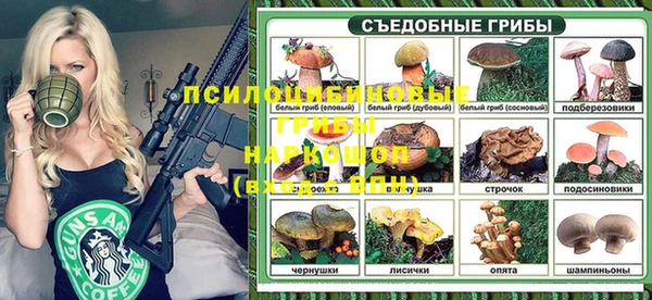дживик Нягань