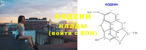 PSILOCYBIN Пересвет