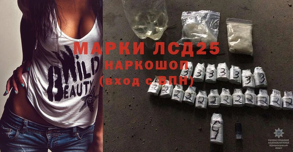 ПСИЛОЦИБИНОВЫЕ ГРИБЫ Алзамай
