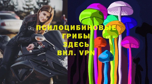 шишки Алексеевка