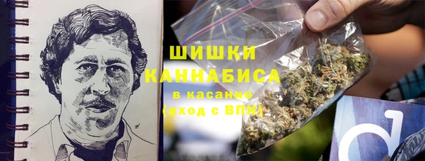 ПСИЛОЦИБИНОВЫЕ ГРИБЫ Алзамай
