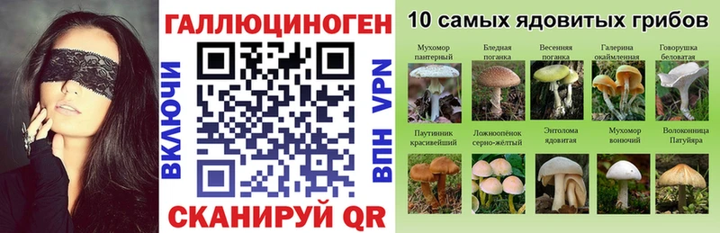 даркнет наркотические препараты Серов Псилоцибиновые грибы мицелий
