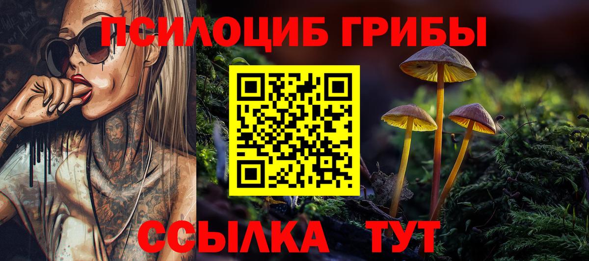 Галлюциногенные грибы мицелий Серов
