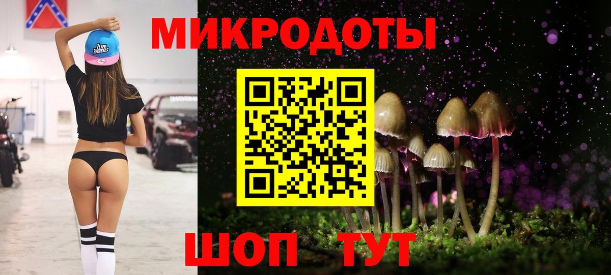 дарнет шоп  Псилоцибиновые грибы мицелий  Вход с VPN  Серов  Галлюциногенные грибы мухоморы 
